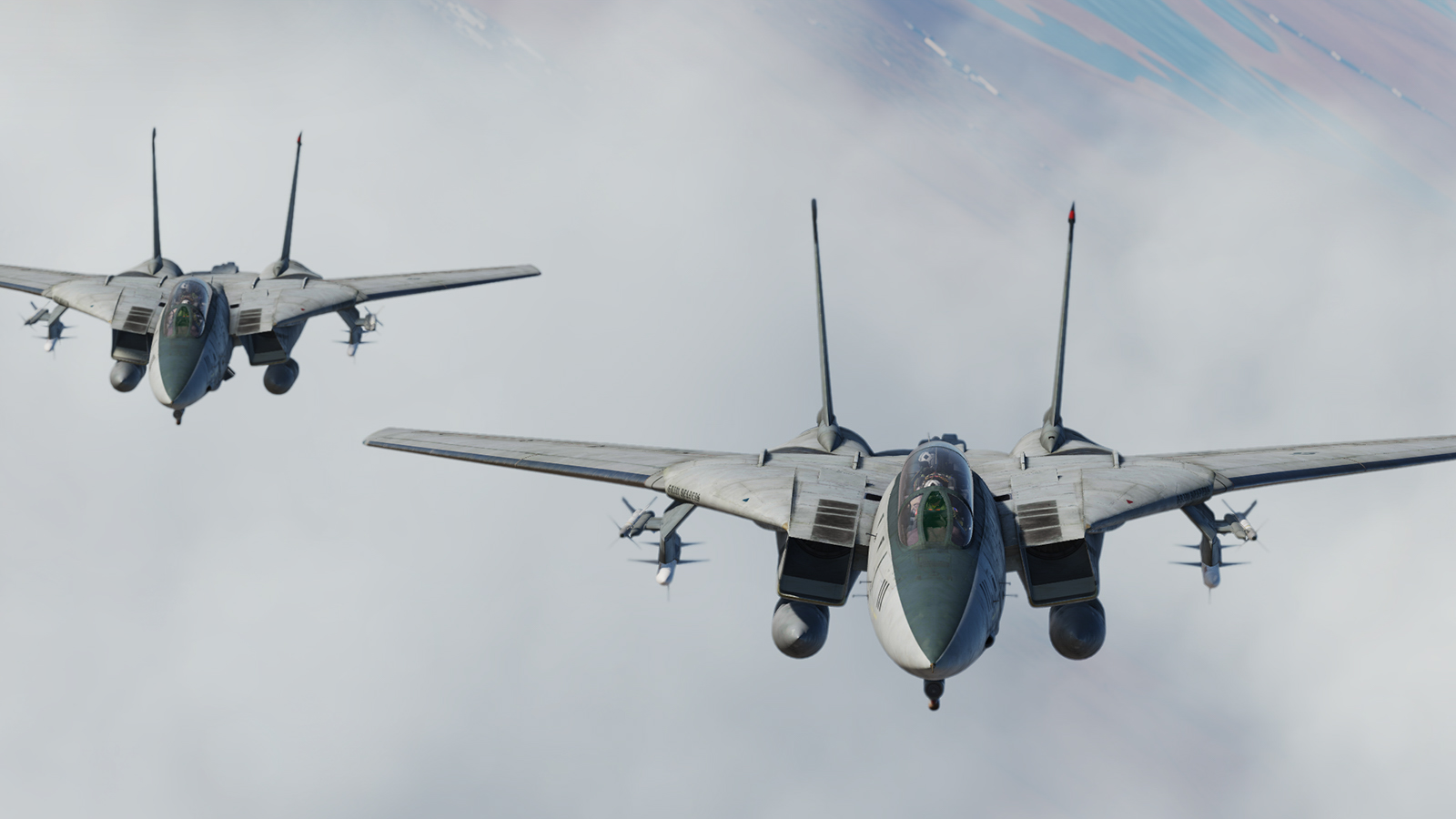 DCS F-14A/B Tomcat im Flug